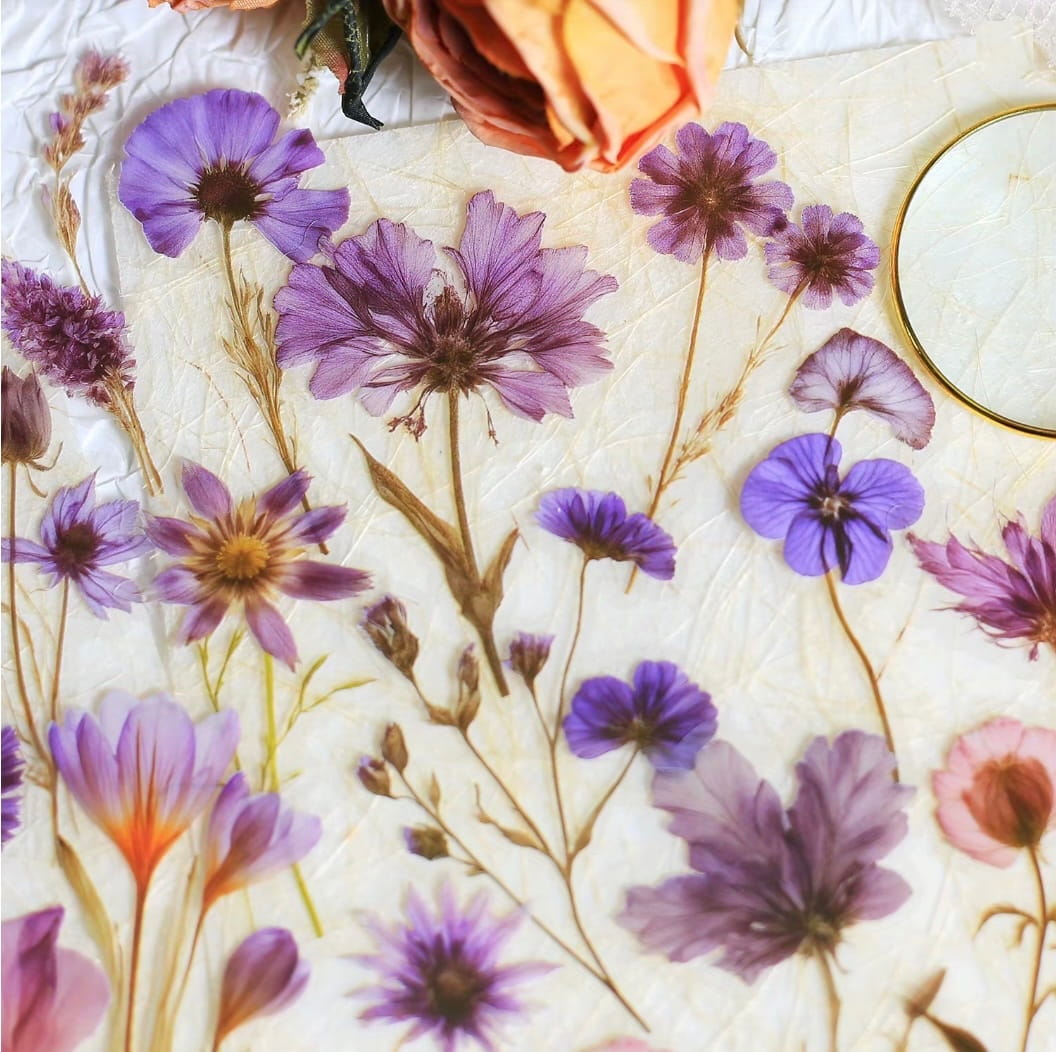 Botanical Stickers