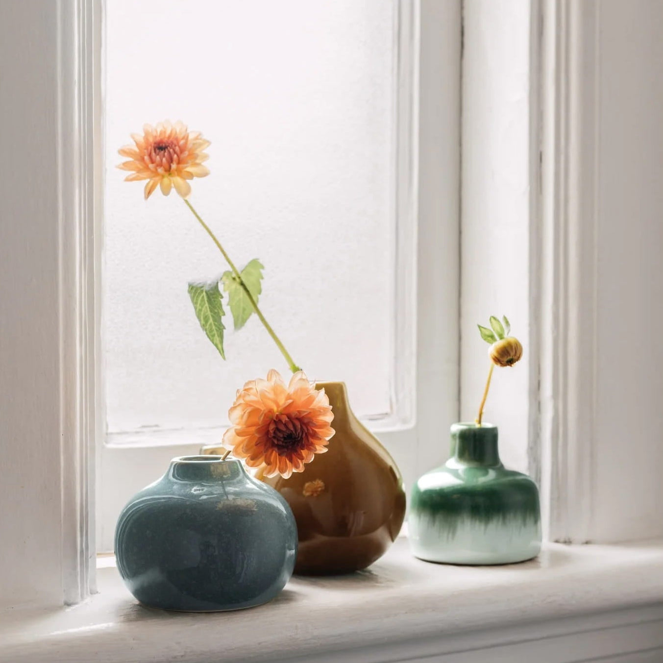 Fir Bud Vase