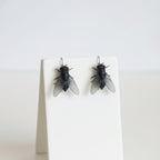 Fly Earrings