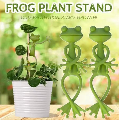 Frog Plant Support