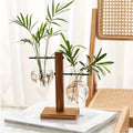 Hydroponic Glass Vase