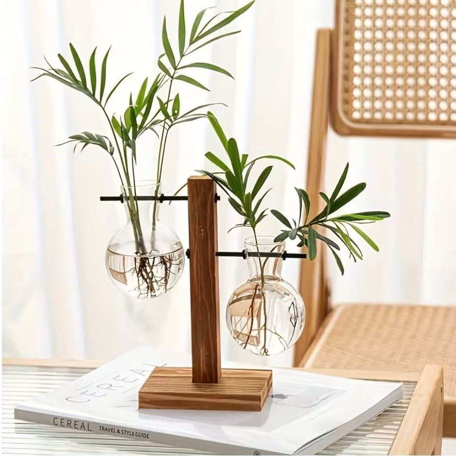 Hydroponic Glass Vase