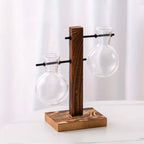 Hydroponic Glass Vase