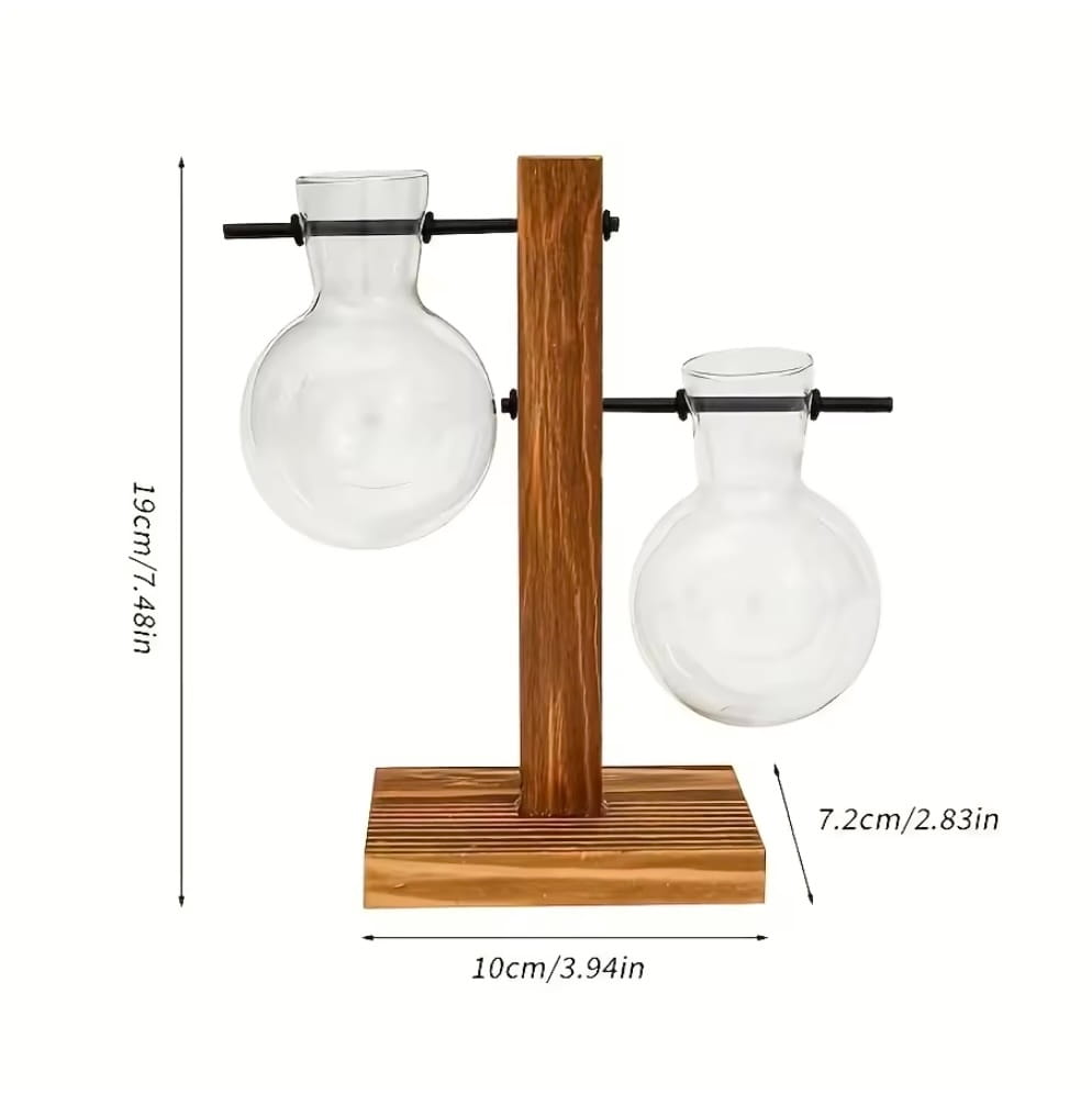 Hydroponic Glass Vase