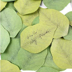 Leaf Sticky Notes
