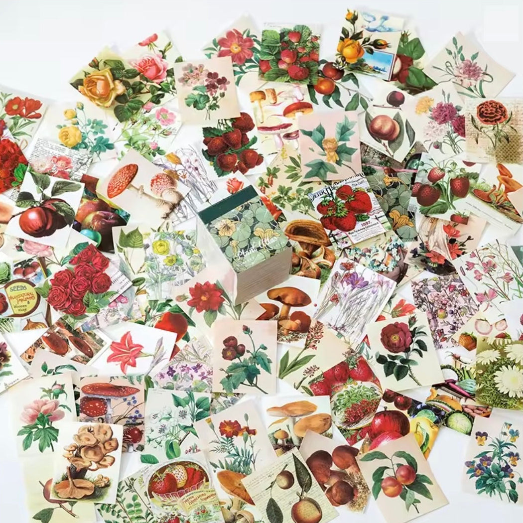 Scrapbook Paper